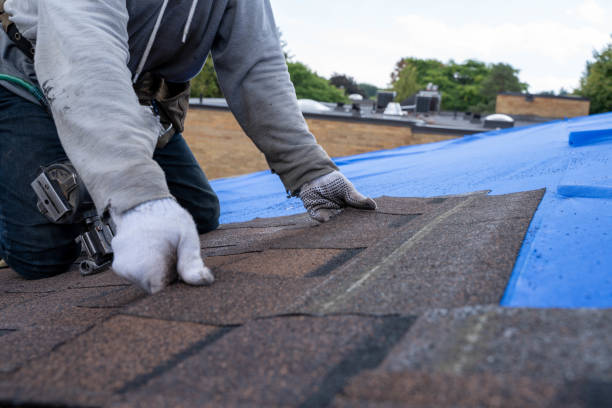 Emergency Roof Repair in Okolona, MS